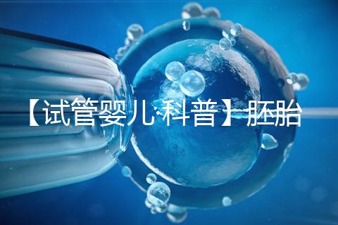 【試管嬰兒·科普】胚胎移植前必看!關平移植成功率!