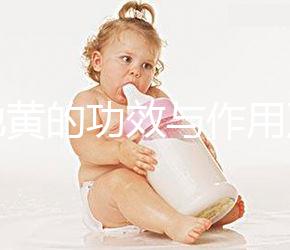 熟地黃的功效與作用及食用方法(黑豆熟地黃的功效與作用及食用方法)