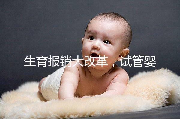 生育報銷大改革,試管嬰兒等輔助生殖費用能納入醫(yī)保嗎