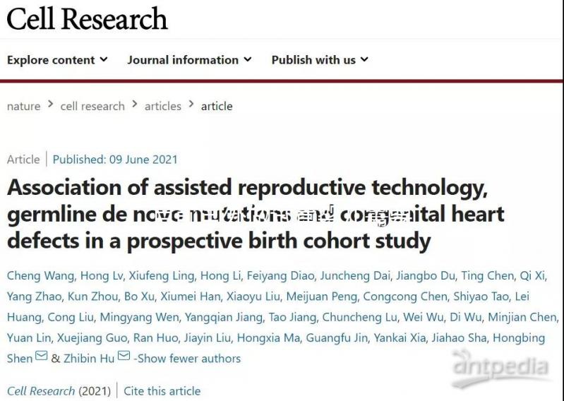 目前國外做試管嬰兒需要結婚證嗎？不同地區證照要求解讀