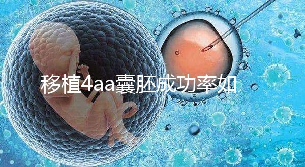 移植4aa囊胚成功率如何？細說質量等級讓你助孕更安心