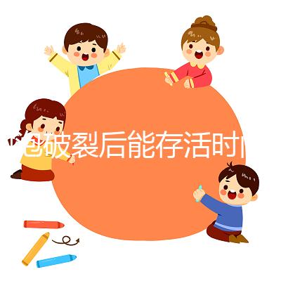 卵泡破裂后能存活時間是多久?別以為24小時就是極限