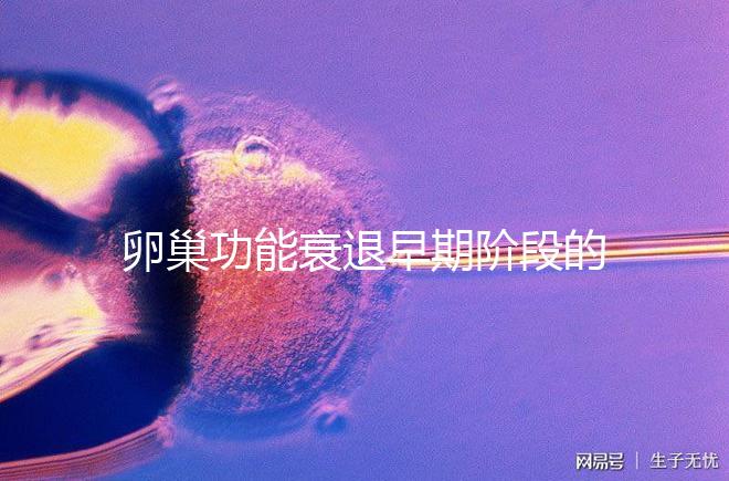 卵巢功能衰退早期階段的妊娠率釋疑，供卵試管嬰兒可>50%