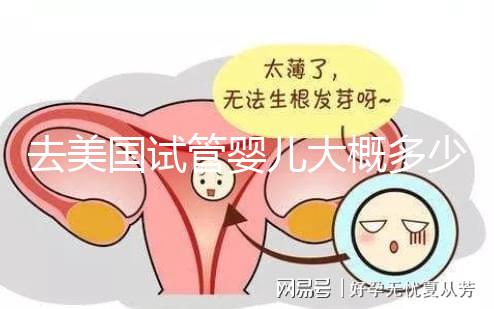 去美國試管嬰兒大概多少錢,省錢技巧有哪些必看