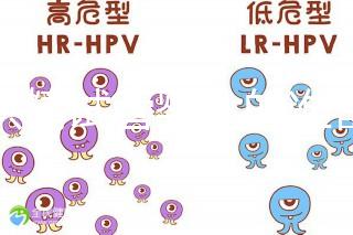 做供精試管嬰兒的準(zhǔn)備(供精試管嬰兒大概需要多少錢)