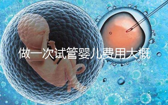 做一次試管嬰兒費(fèi)用大概多少
