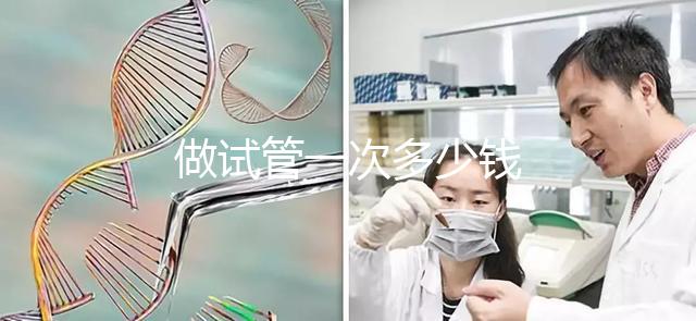 做試管一次多少錢(qián)