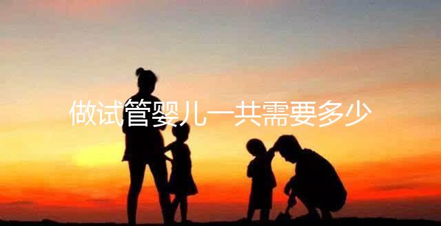 做試管嬰兒一共需要多少錢？