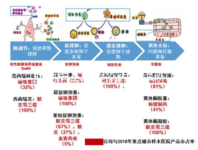 取卵后全身癢治療很輕松！4個小妙招助你快速止癢