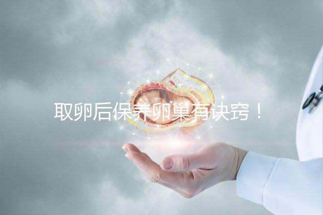 取卵后保養(yǎng)卵巢有訣竅！7種方法助你快速恢復(fù)