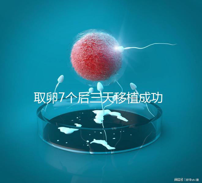 取卵7個(gè)后三天移植成功率真不低，關(guān)鍵要滿足這5大條件