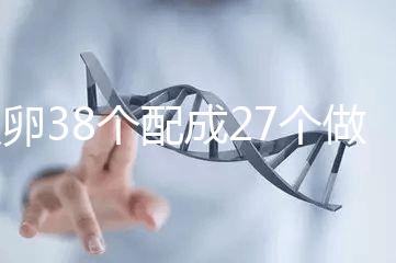 取卵38個配成27個做試管成功率高，前提：醫生叫養囊要聽話
