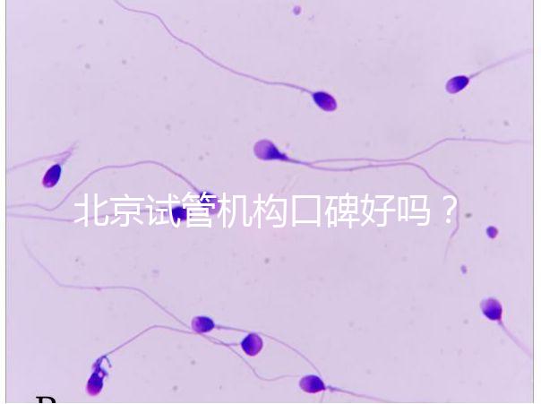 北京試管機構(gòu)口碑好嗎?哪個醫(yī)院靠譜?
