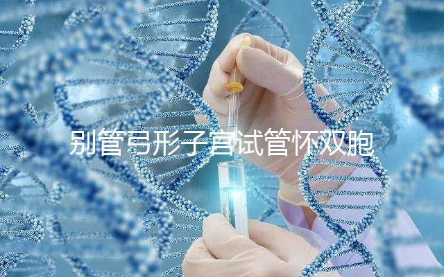 別管弓形子宮試管懷雙胞胎的概率大不大，了解一下這些影響