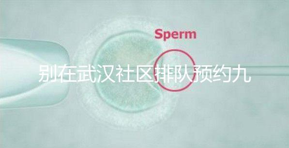 別在武漢社區排隊預約九價hpv疫苗了，在官方微信上也能搞定