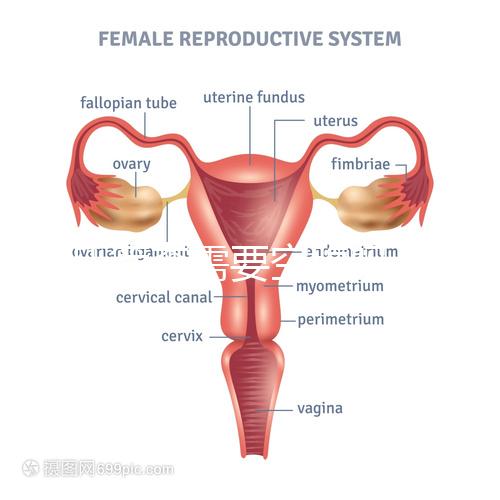 唐氏篩查需要空腹嗎,無錫醫院單項費用最低一百八十五