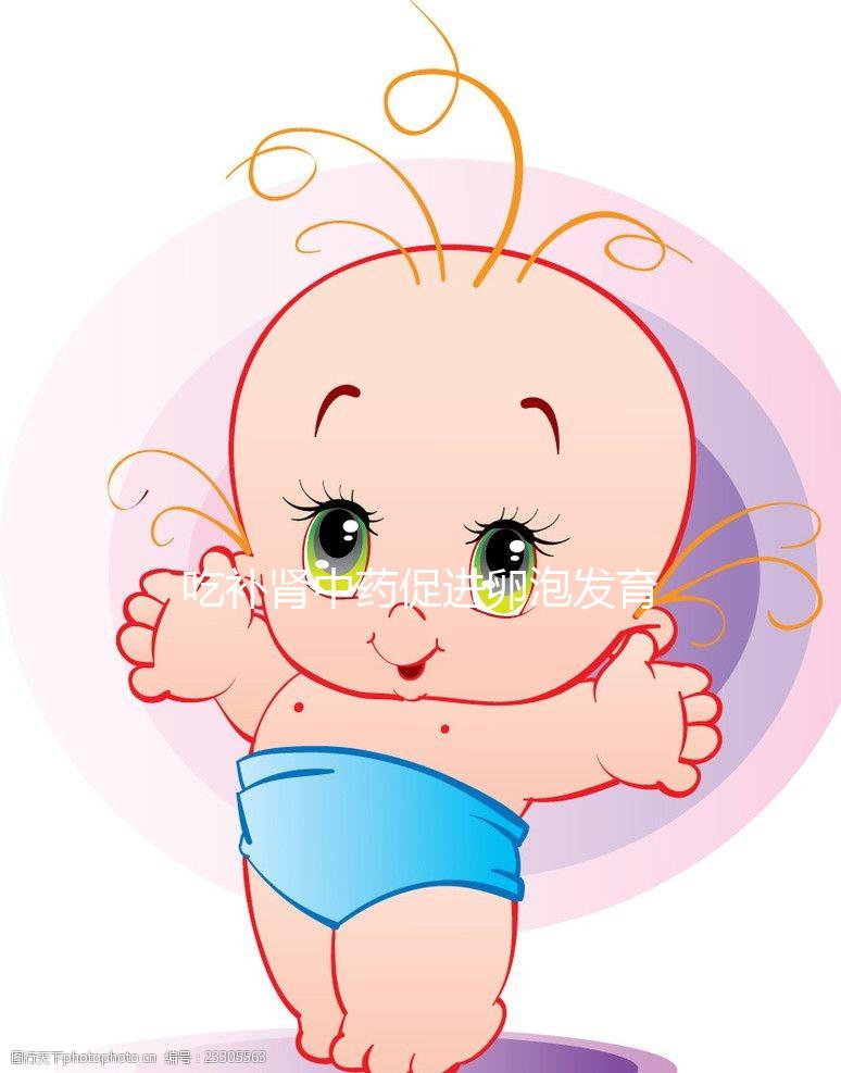 吃補(bǔ)腎中藥促進(jìn)卵泡發(fā)育有奇功，按方子調(diào)理卵泡大又圓