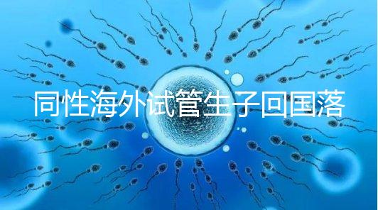 同性海外試管生子回國落戶講方法，男同上戶過程更復雜