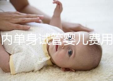 國內單身試管嬰兒費用大概要多少錢一次？附費用明細！