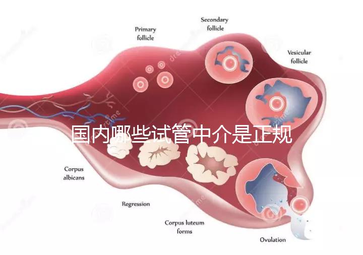 國內哪些試管中介是正規的看過來，可不止北京百匯這一家