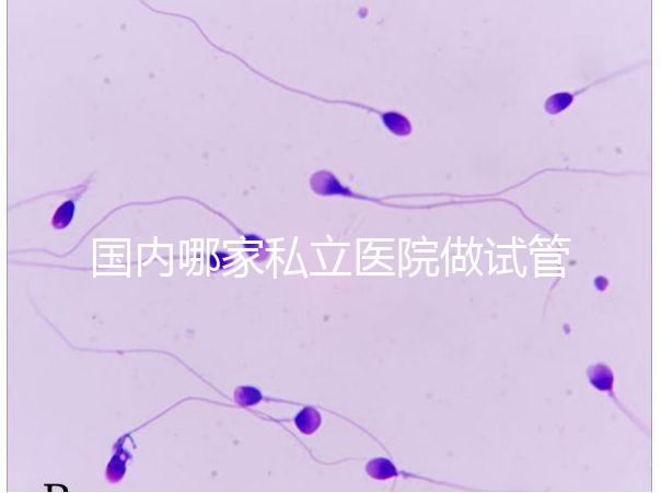 國內哪家私立醫院做試管嬰兒好？統計正規私立試管醫院排名