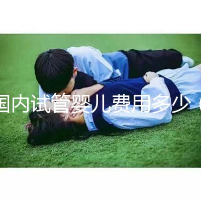 國內試管嬰兒費用多少（國內試管嬰兒費用多少錢）