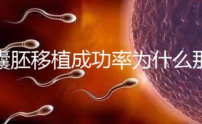 囊胚移植成功率為什么那么高？一期給你講明白！