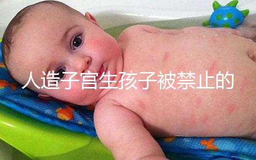 人造子宮生孩子被禁止的原因有三，會不會被允許未成定論