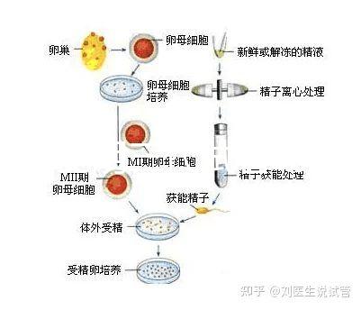 云南昆明三代試管助孕費(fèi)用貴不貴呢？三代試管懷孕費(fèi)用參考表！