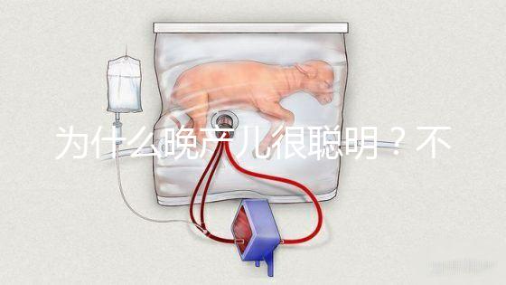 為什么晚產(chǎn)兒很聰明？不要被智商比同齡人高誤導