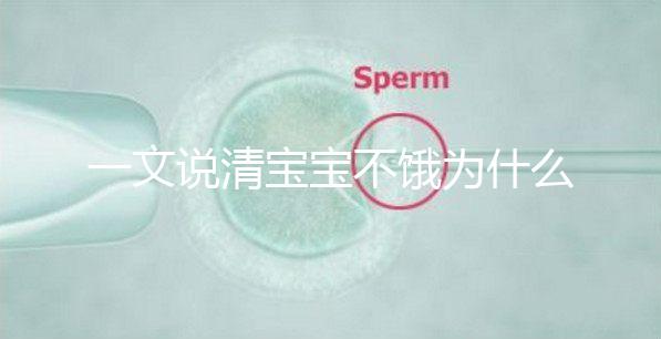 一文說清寶寶不餓為什么瘋狂找奶，找準原因才好解決