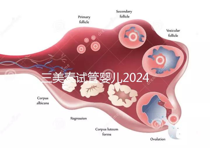 三美泰試管嬰兒2024年的成功率還能更高嗎?