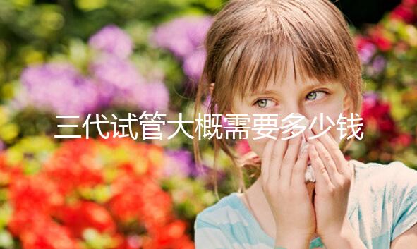 三代試管大概需要多少錢？