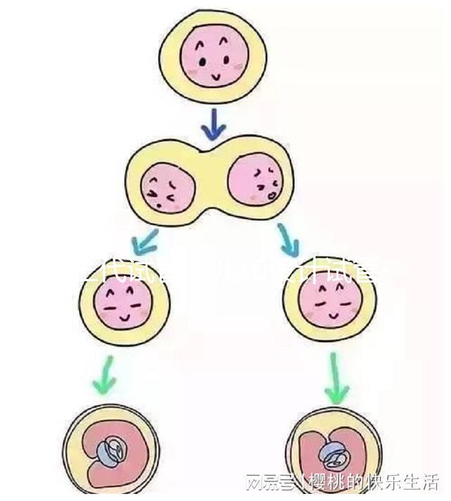 三代試管嬰兒和設計試管嬰兒一樣嗎？