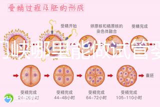 三門峽哪里能做試管嬰兒？從經歷談成功率和費用