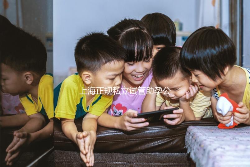 上海正規(guī)私立試管助孕公司名單分享,這幾家看放心選擇