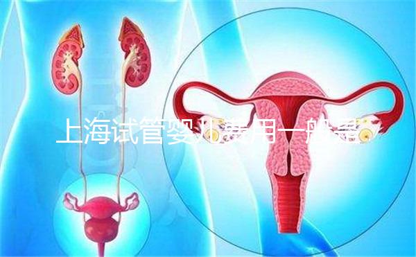 上海試管嬰兒費用一般是多少?2025年費用明細全解析、各技術(shù)方案價格對比與科學省錢全指南