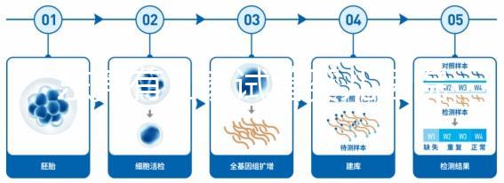 東莞有幾家試管嬰兒醫(yī)院？不同生殖中心費用和成功率詳解