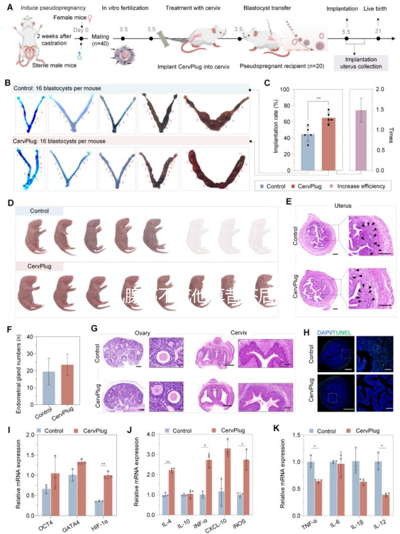 乳腺癌不吃他莫昔芬后果很嚴(yán)重，復(fù)發(fā)僅為其一