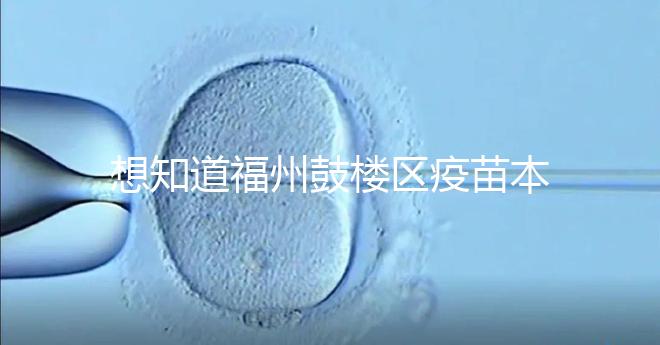 想知道福州鼓樓區疫苗本丟失怎么辦看這，到哪里補辦要弄清