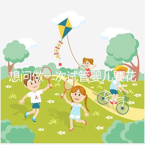 想問(wèn)做一次試管嬰兒要花多少錢(qián)呢