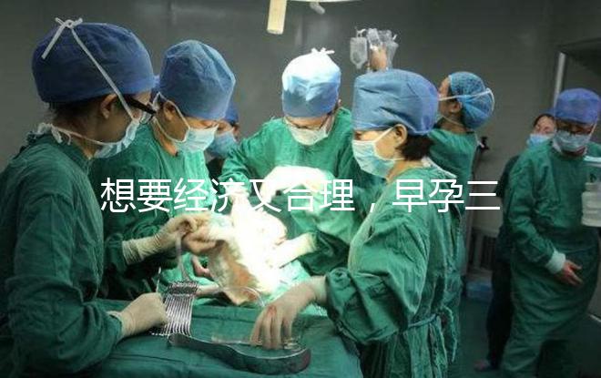 想要經(jīng)濟(jì)又合理,早孕三項(xiàng)檢查保持這個頻率就好!