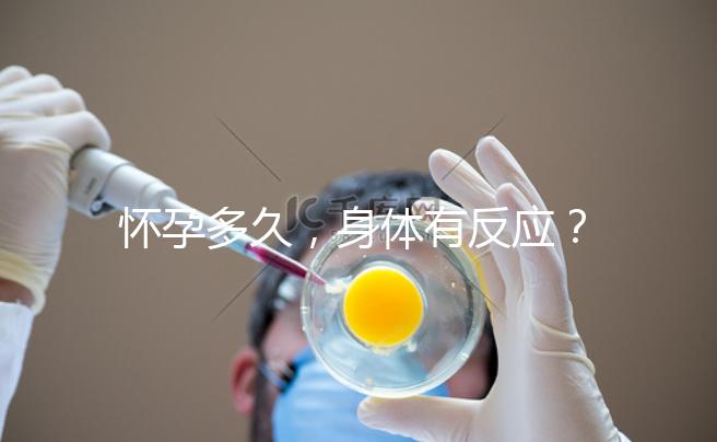 懷孕多久，身體有反應？