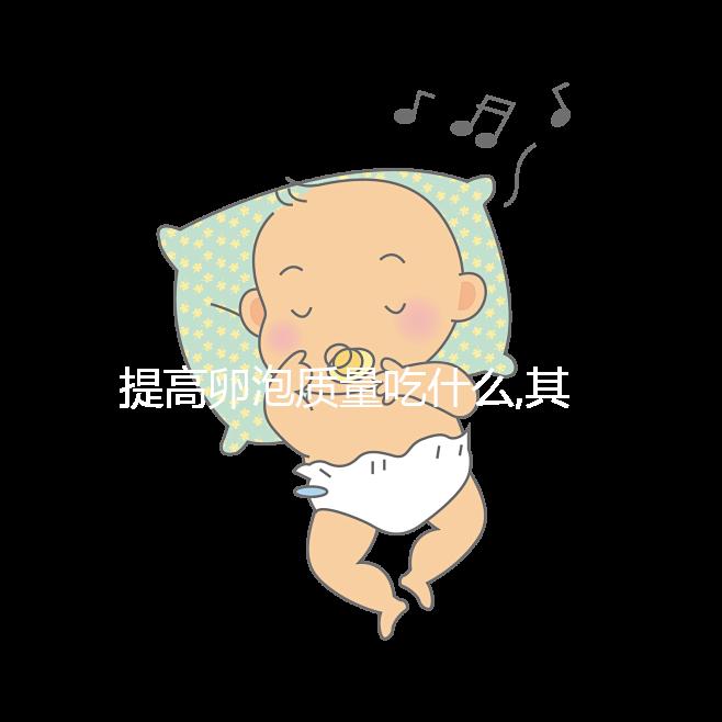 提高卵泡質量吃什么,其中3類食物卵子進補尤為常見