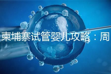 柬埔寨試管嬰兒攻略：周期和時間規劃全解析！