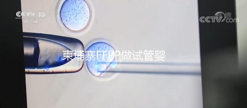 柬埔寨FFPP做試管嬰兒不“包成功”,小心不良中介套路