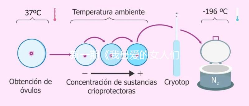新一期《我最?lèi)?ài)的女人們》，蔡少芬自曝第一胎曾小產(chǎn)