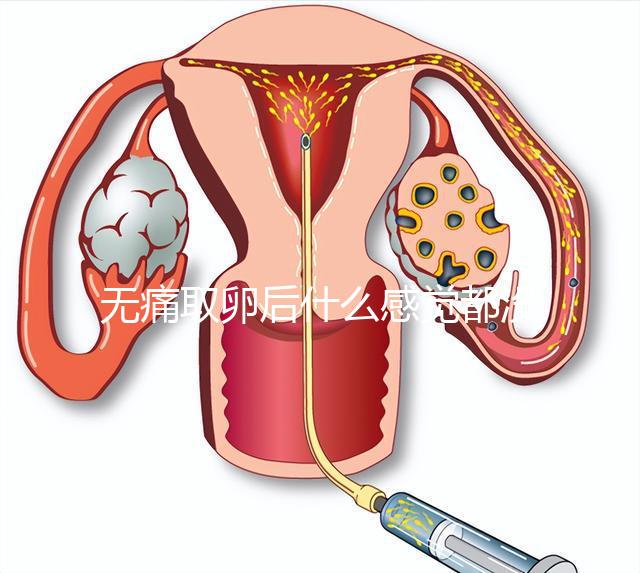 無痛取卵后什么感覺都沒有異常是謠言！只會出現一部分...