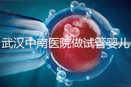 武漢中南醫(yī)院做試管嬰兒需要多少錢:2025年這些試管收費有變動