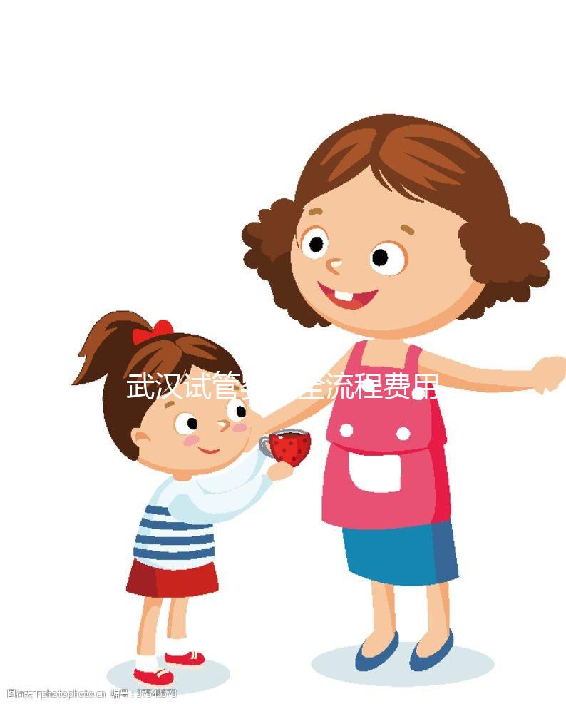 武漢試管嬰兒全流程費用明細,助孕各階段真實價格參考